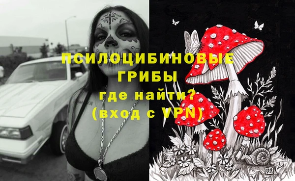 apvp Козельск