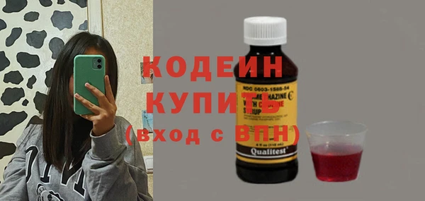 apvp Козельск