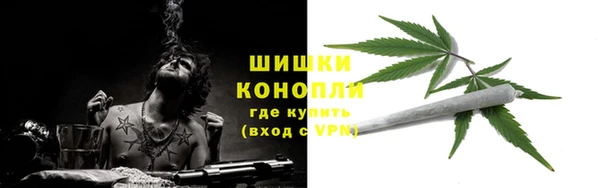 apvp Козельск