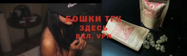 apvp Козельск