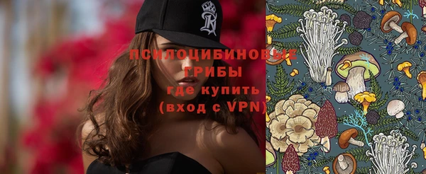 apvp Козельск