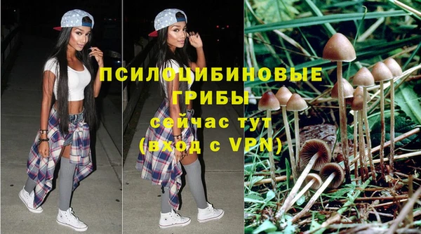 круглые Кодинск