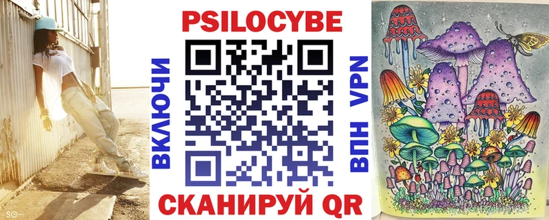 Псилоцибиновые грибы Psilocybe  Купить  Лахденпохья 